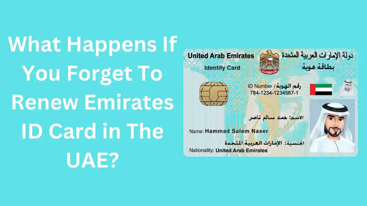 Emirates ID Renewal: What Happens If You Forget To Renew Emirates ID Card in The UAE?