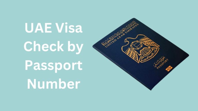 UAE Visa Check by Passport Number: How to Verify Your Dubai Visa Status Online