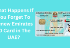 Emirates ID Renewal: What Happens If You Forget To Renew Emirates ID Card in The UAE?