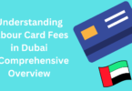 Understanding Labour Card Fees in Dubai: A Comprehensive Overview